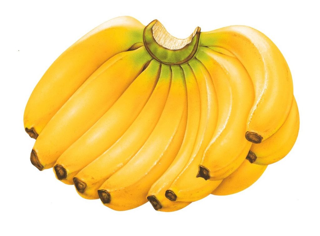 ทํานายฝัน ฝันเห็นกล้วยสุก